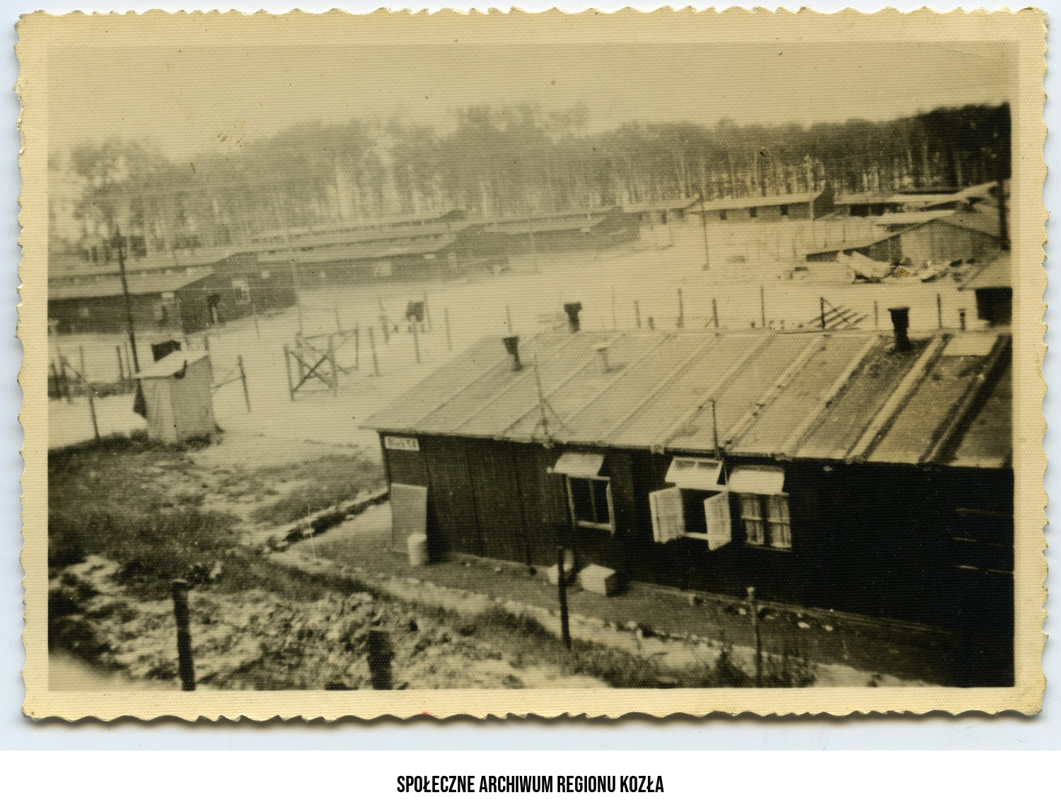 T. Brambor02