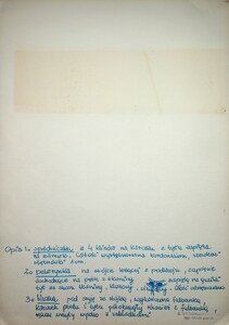 Projekty kostiumów (34)