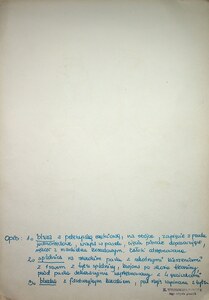 Projekty kostiumów (36)