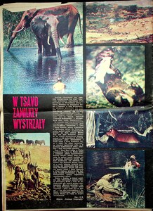 Projekty kostiumów (12)