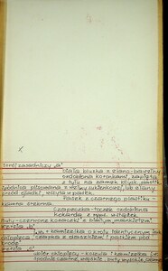 Projekty kostiumów (25)