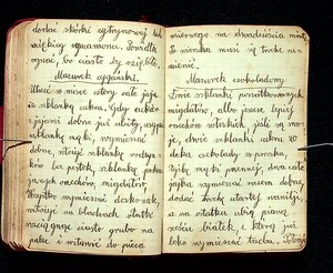 Kuchnia Rychta Franciszka - Zbiór przepisów kulinarnych_094