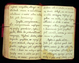 Kuchnia Rychta Franciszka - Zbiór przepisów kulinarnych_121