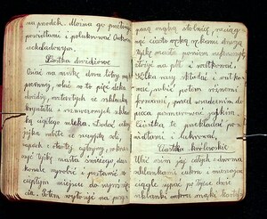 Kuchnia Rychta Franciszka - Zbiór przepisów kulinarnych_102