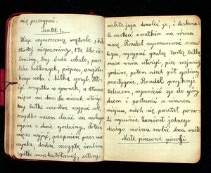 Kuchnia Rychta Franciszka - Zbiór przepisów kulinarnych_066
