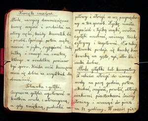 Kuchnia Rychta Franciszka - Zbiór przepisów kulinarnych_053