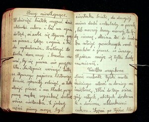 Kuchnia Rychta Franciszka - Zbiór przepisów kulinarnych_106