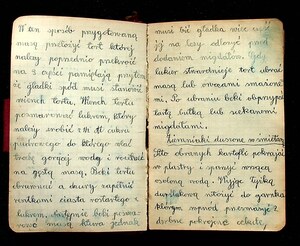 Kuchnia Rychta Franciszka - Zbiór przepisów kulinarnych_022