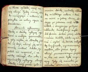 Kuchnia Rychta Franciszka - Zbiór przepisów kulinarnych_095