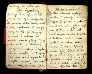 Kuchnia Rychta Franciszka - Zbiór przepisów kulinarnych_007