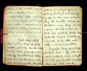 Kuchnia Rychta Franciszka - Zbiór przepisów kulinarnych_038