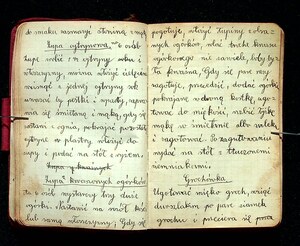 Kuchnia Rychta Franciszka - Zbiór przepisów kulinarnych_040