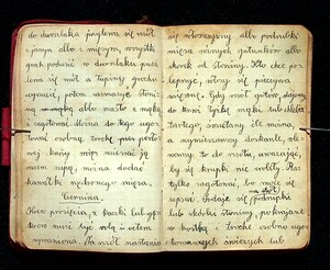Kuchnia Rychta Franciszka - Zbiór przepisów kulinarnych_041