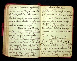 Kuchnia Rychta Franciszka - Zbiór przepisów kulinarnych_116