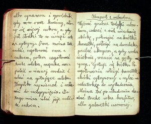 Kuchnia Rychta Franciszka - Zbiór przepisów kulinarnych_088