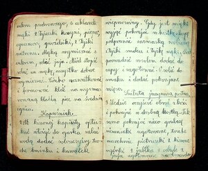 Kuchnia Rychta Franciszka - Zbiór przepisów kulinarnych_032