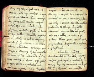Kuchnia Rychta Franciszka - Zbiór przepisów kulinarnych_078