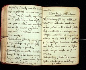 Kuchnia Rychta Franciszka - Zbiór przepisów kulinarnych_099