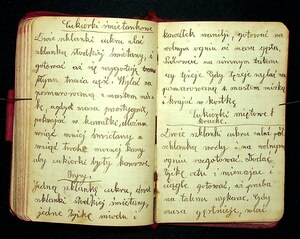 Kuchnia Rychta Franciszka - Zbiór przepisów kulinarnych_110