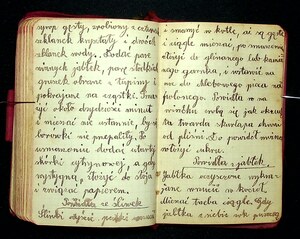 Kuchnia Rychta Franciszka - Zbiór przepisów kulinarnych_115