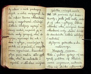 Kuchnia Rychta Franciszka - Zbiór przepisów kulinarnych_087