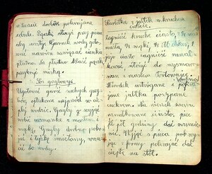 Kuchnia Rychta Franciszka - Zbiór przepisów kulinarnych_028