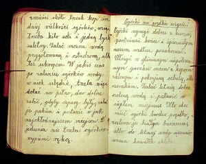Kuchnia Rychta Franciszka - Zbiór przepisów kulinarnych_119