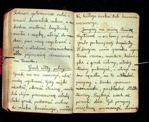 Kuchnia Rychta Franciszka - Zbiór przepisów kulinarnych_079