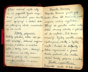 Kuchnia Rychta Franciszka - Zbiór przepisów kulinarnych_020