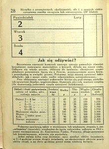 Kalendarz Iskier na rok 1931_028
