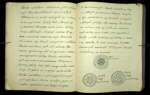 Zeszyt z biologii Franciszka Sarnowskiego 1930-1931_41