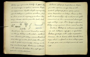 Zeszyt z biologii Franciszka Sarnowskiego 1930-1931_31
