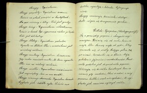 Zeszyt z biologii Franciszka Sarnowskiego 1930-1931_45