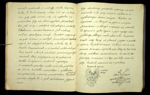 Zeszyt z biologii Franciszka Sarnowskiego 1930-1931_38